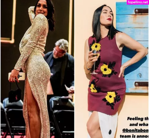 The Bella Twins OnlyFans Thumbnail #Go0J5Ac5BY