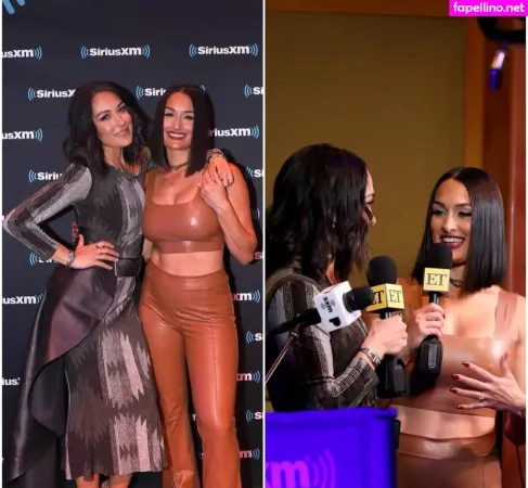 The Bella Twins OnlyFans Thumbnail #IOuW5Q5v94