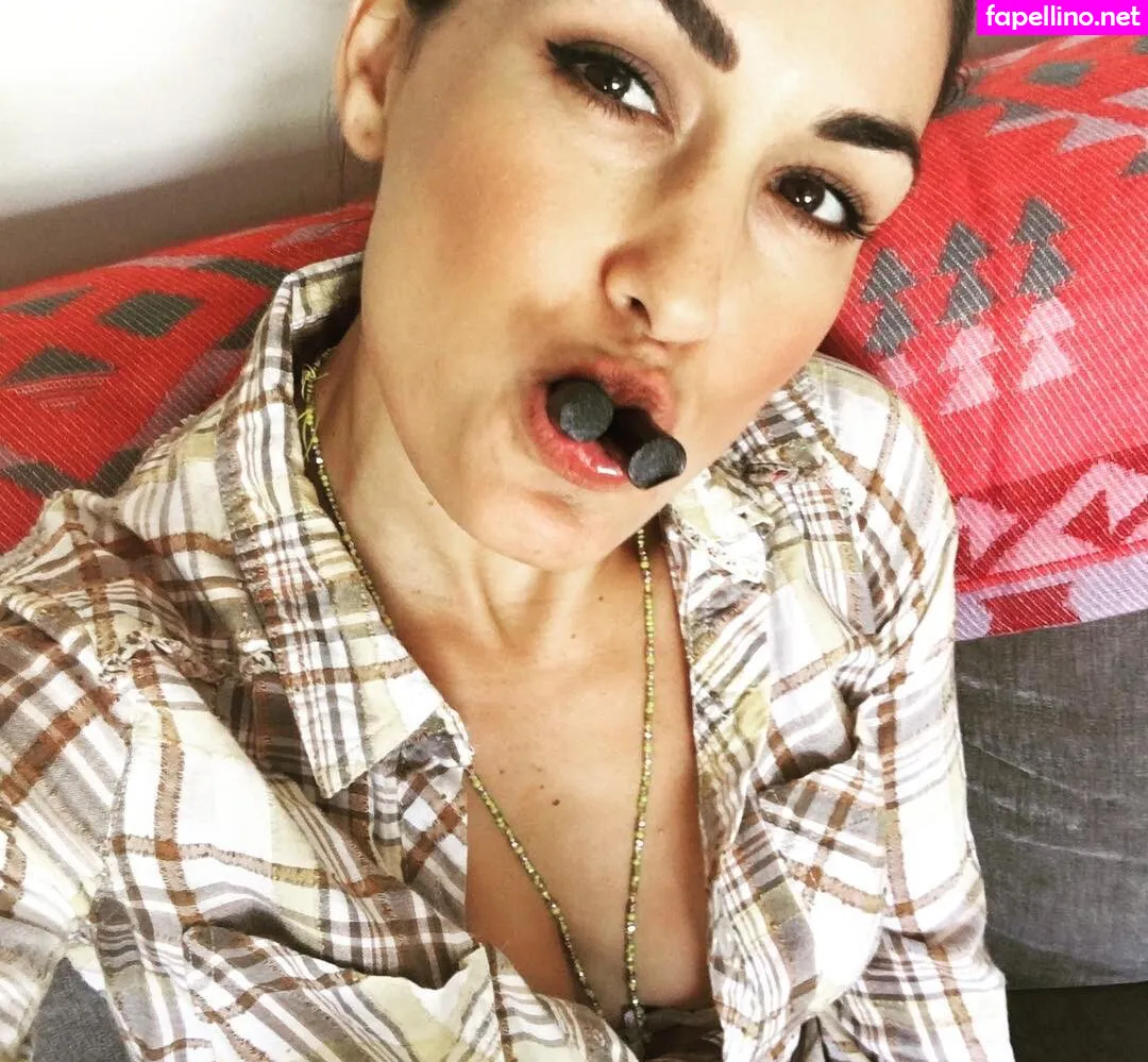 Nikki Bella & Brie Bella, thenikkibella Nude Leaked OnlyFans Photo #a2p6Rg31Sp