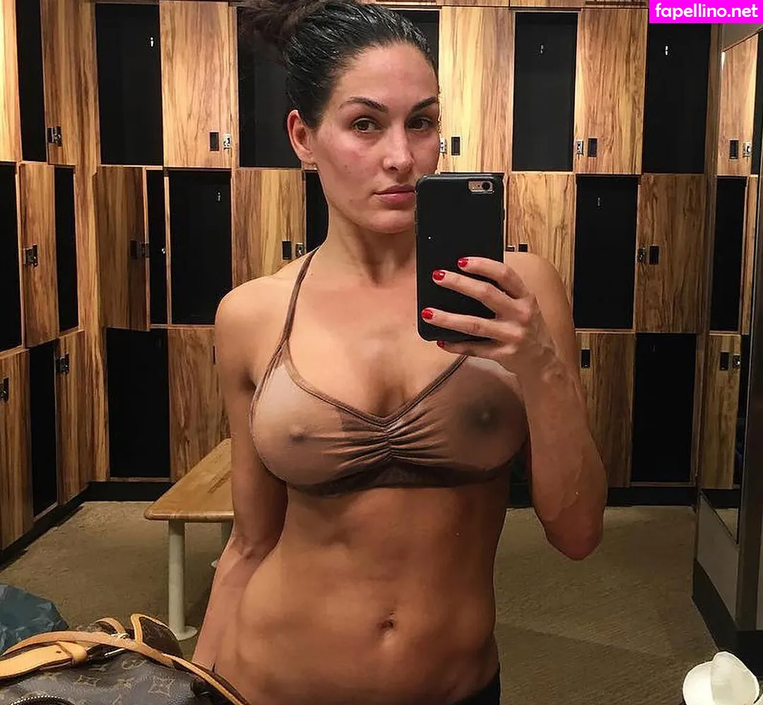 Nikki Bella & Brie Bella, thenikkibella Nude Leaked OnlyFans Photo #alGmBuaRqD