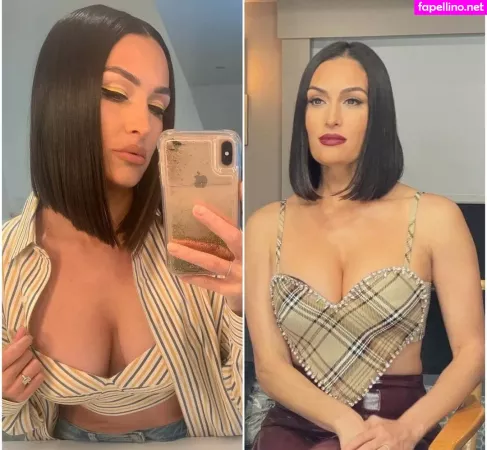 The Bella Twins OnlyFans Thumbnail #b1LMQz8B02