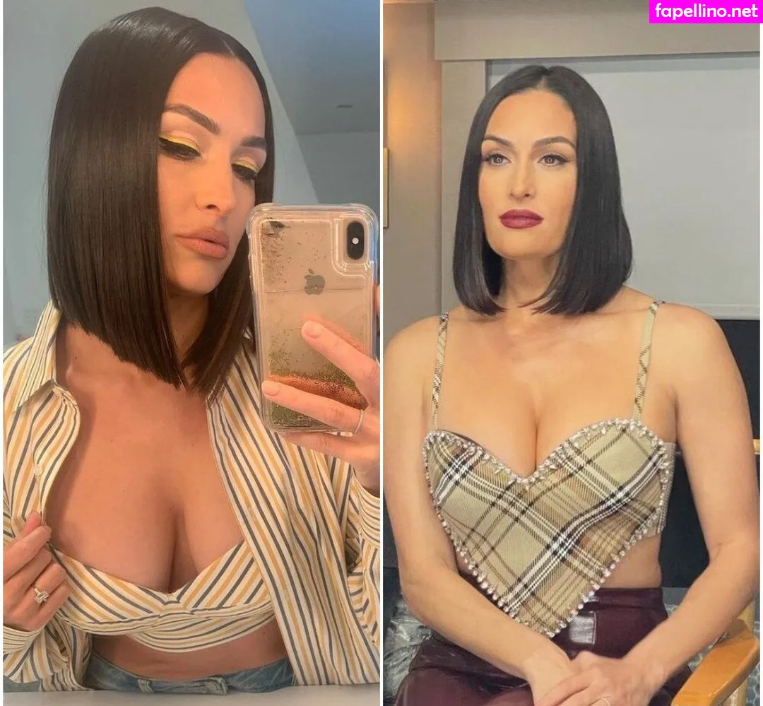 Nikki Bella & Brie Bella, thenikkibella Nude Leaked OnlyFans Photo #b1LMQz8B02