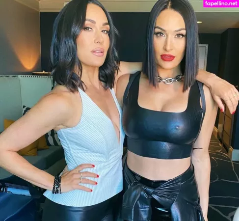 The Bella Twins OnlyFans Thumbnail #ohtKuHaono