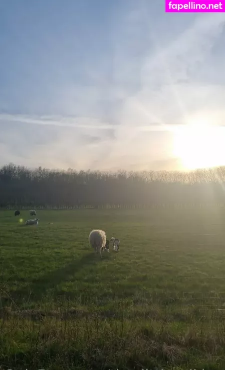 The Little Viking OnlyFans Thumbnail #ImUgw3zi0y