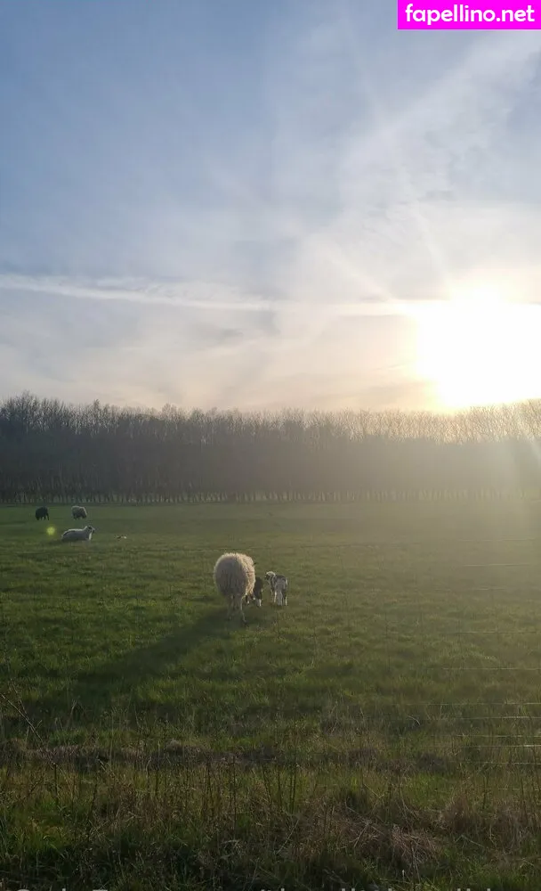 the_little_viking Nude Leaked OnlyFans Photo #ImUgw3zi0y