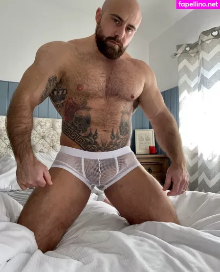 Thebritishbear1 OnlyFans Thumbnail #fueKIYZK8D