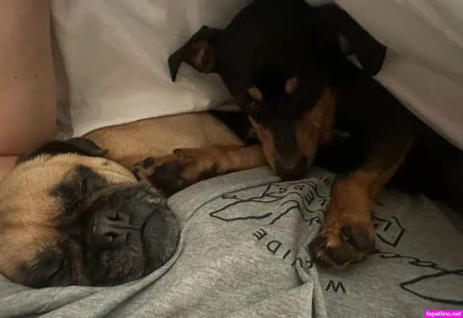 Thecircusdiaries OnlyFans Thumbnail #FcENhIGWgO