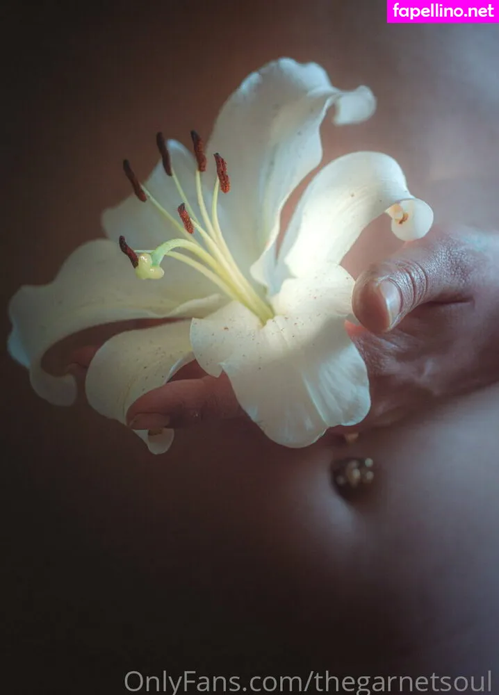 robincy, robincyn, thegarnetsoul Nude Leaked OnlyFans Photo #J8KjdrHC5u