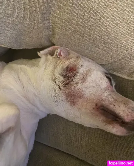 Theheavenlytris OnlyFans Thumbnail #0isTYkKddC