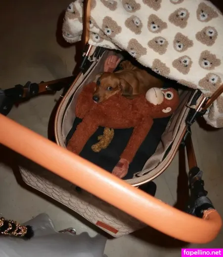 Thekatmichelee OnlyFans Thumbnail #5lqoU1m7U4