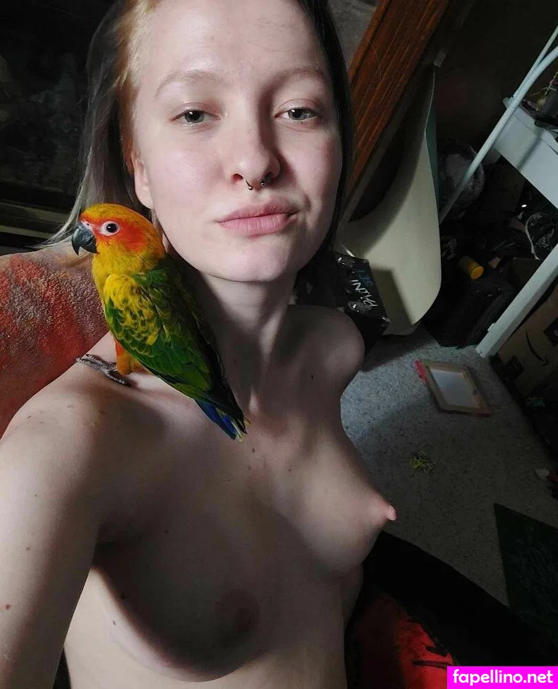 TheNerdandherBird, the_berd_nird Nude Leaked OnlyFans Photo #KxBnMvlyif