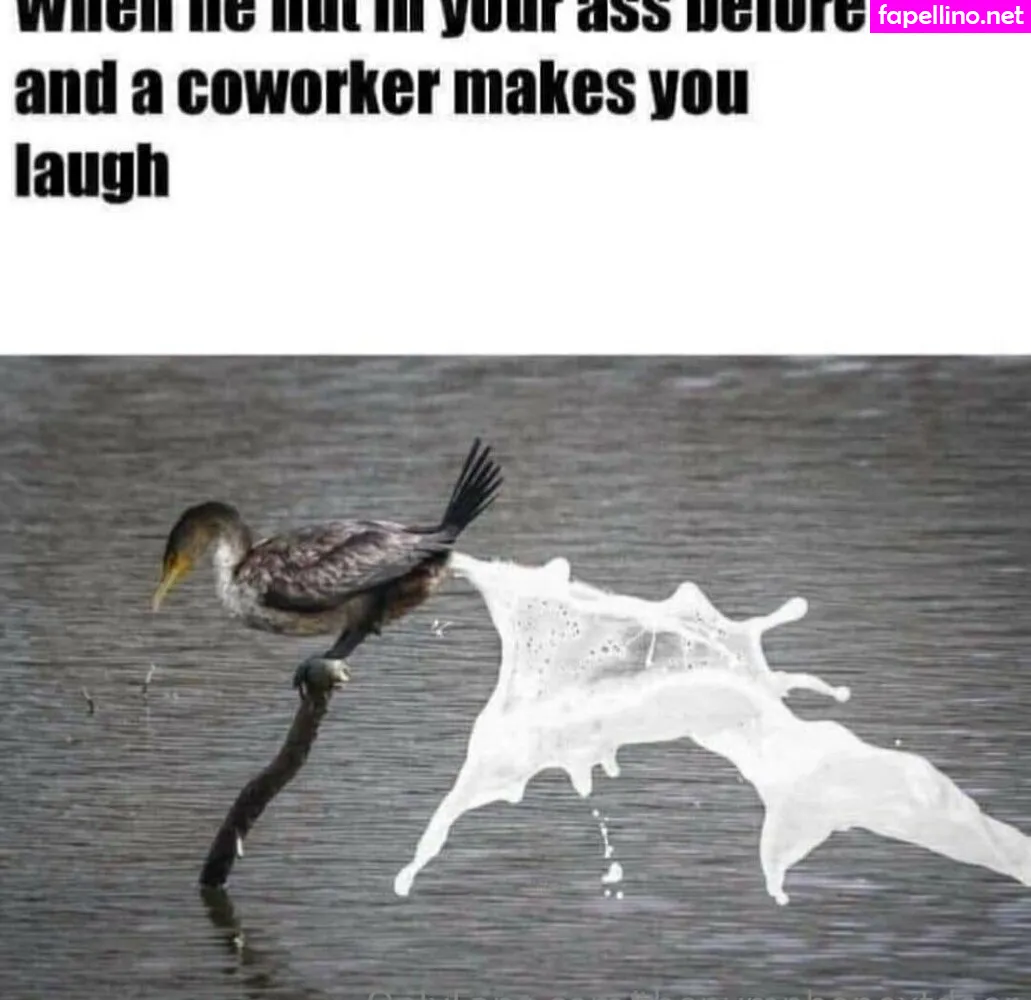 iamhoneyxvo, thenymphonextdoor Nude Leaked OnlyFans Photo #VHwh3MdkHt