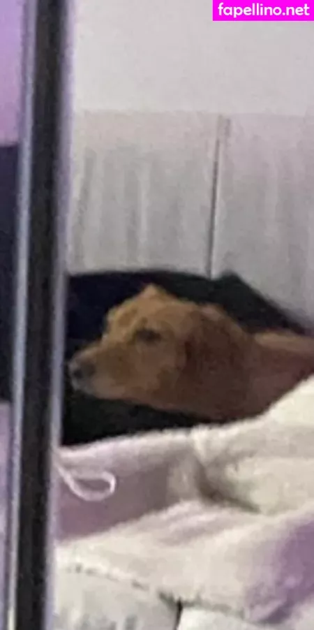 Theoliviadavis OnlyFans Thumbnail #RP4GGdPoi6