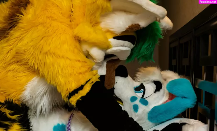 Thepineapplefox OnlyFans Thumbnail #qPekgggQlK