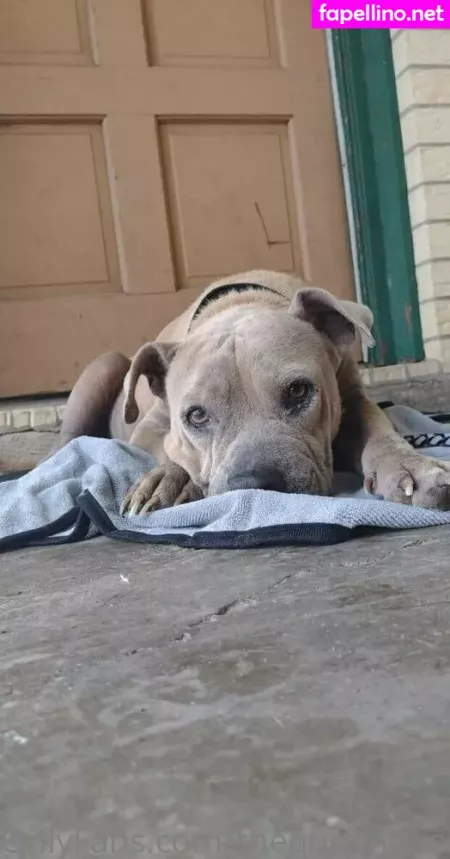 Thequeenbee69 OnlyFans Thumbnail #0WFr2TQ6uF