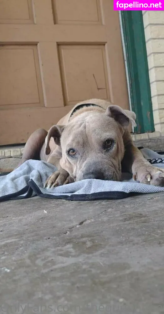 bethanythebusybeemama, thequeenbee69 Nude Leaked OnlyFans Photo #0WFr2TQ6uF