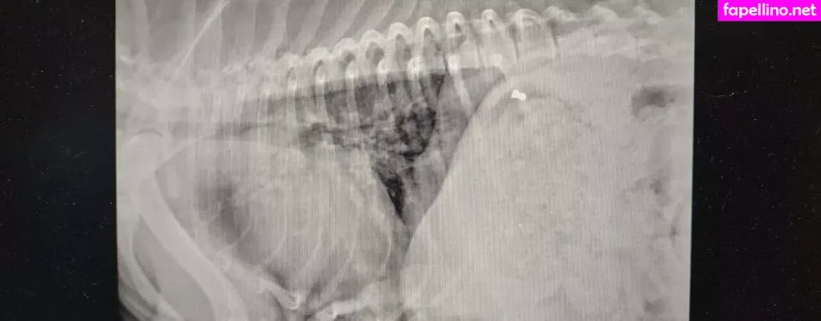 Thequeenbee69 OnlyFans Thumbnail #iT8T5PJ8Lw