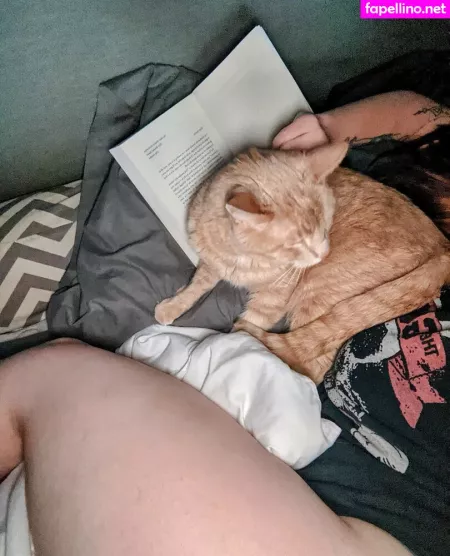 Theradicalfox OnlyFans Thumbnail #FwsVKn7a5m