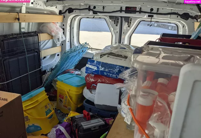 Theradicalfox OnlyFans Thumbnail #g9sBySuXV6