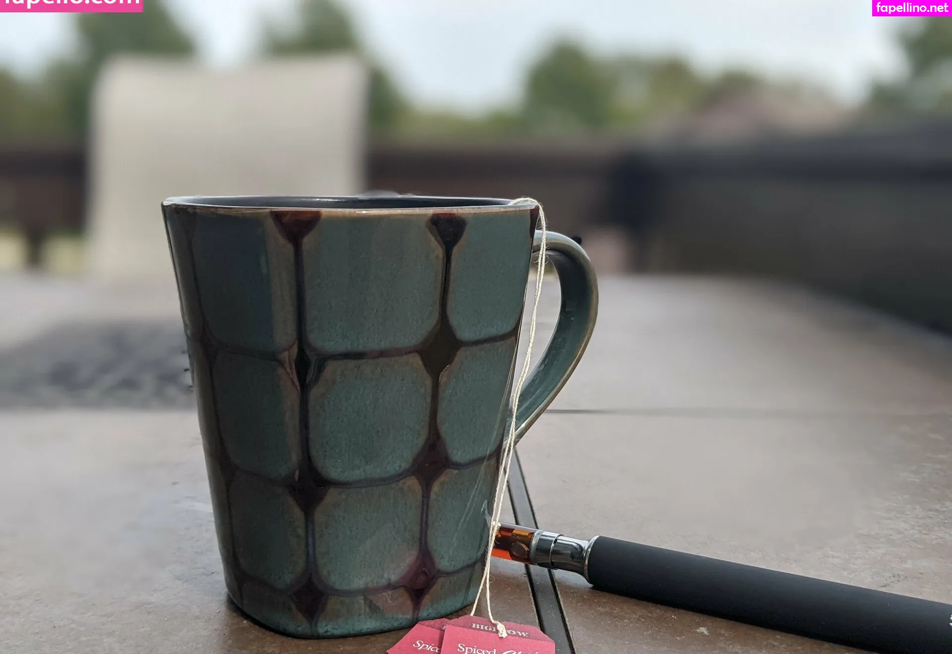 radicalfox117, theradicalfox Nude Leaked OnlyFans Photo #y4zW6ZoHzn