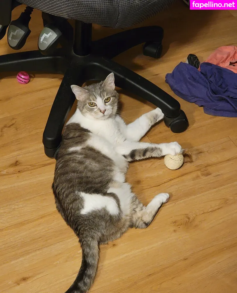 therealalicat, therealallicat Nude Leaked OnlyFans Photo #ZjmEHkyqMG