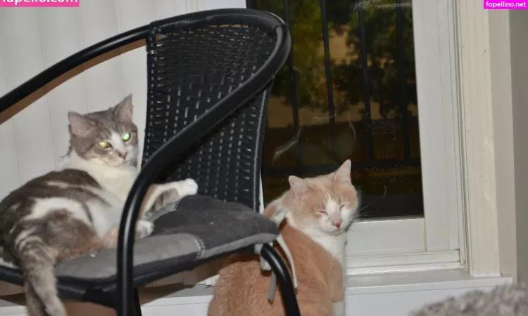 Therealallicat OnlyFans Thumbnail #tzBdB4eZ6z