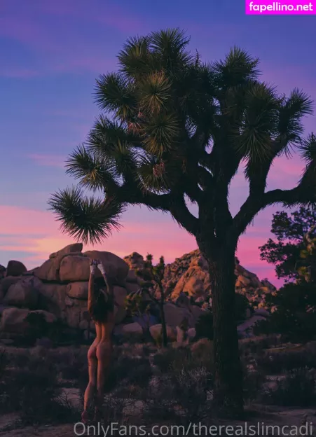 Therealslimcadi OnlyFans Thumbnail #f5hgTQgrTu