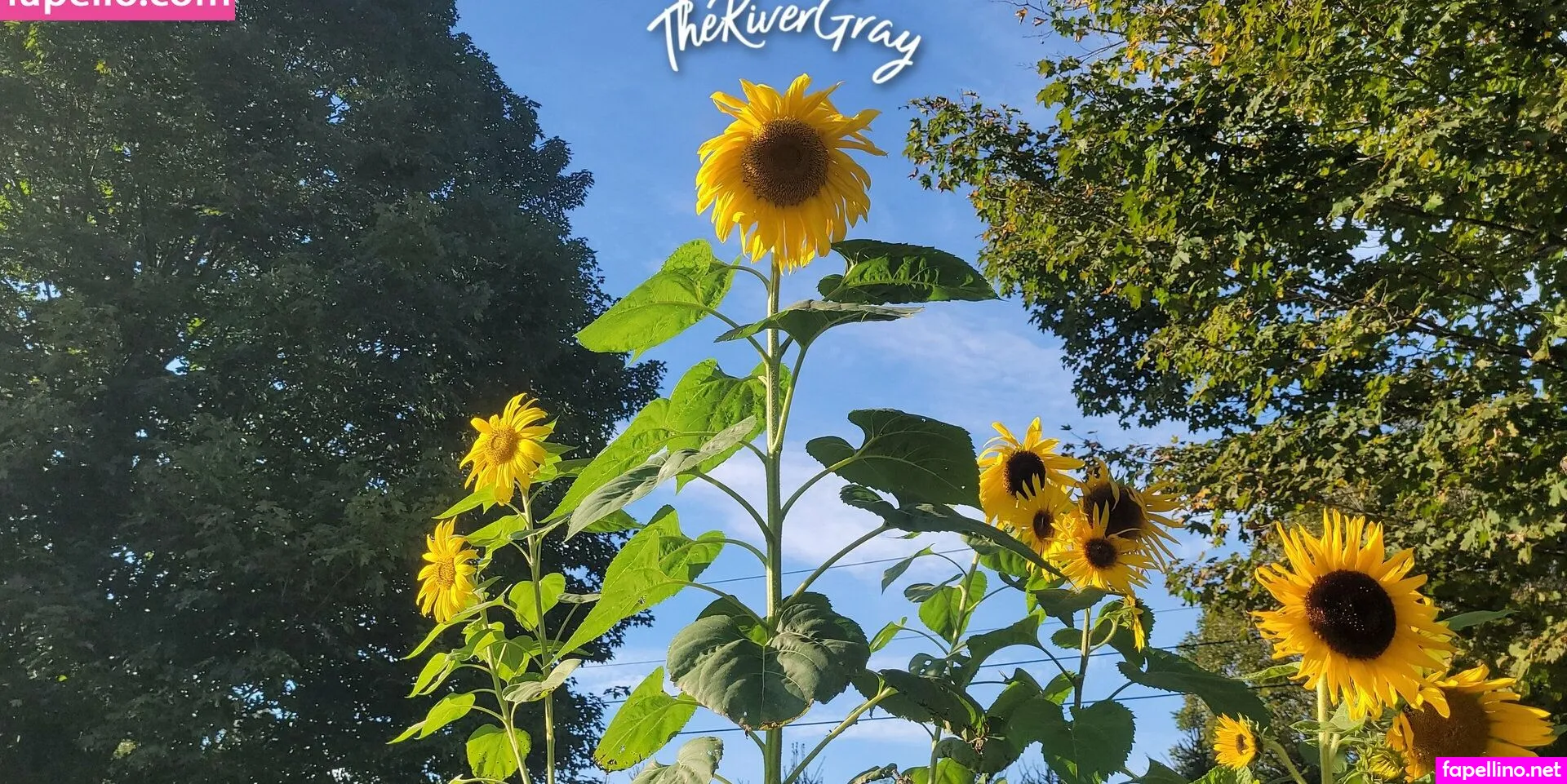 the.rivergray, therivergray Nude Leaked OnlyFans Photo #cUQe6FU1aj