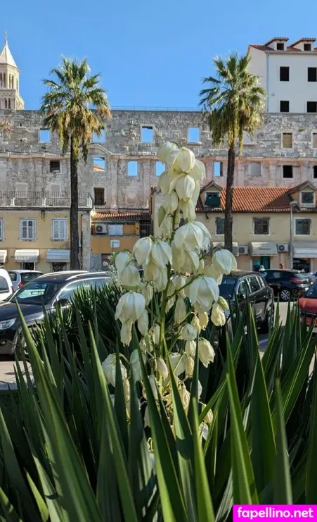 Thescandichick OnlyFans Thumbnail #DfTCyBMPNR