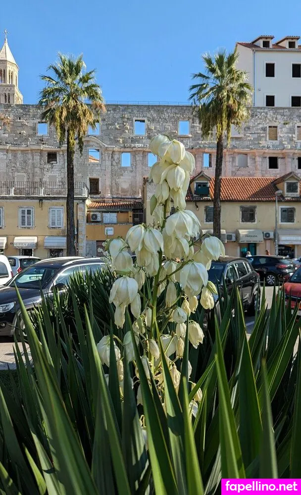 thescandichick Nude Leaked OnlyFans Photo #DfTCyBMPNR