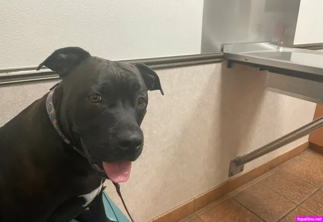 Thesheridanlove OnlyFans Thumbnail #8FmAFqsGPn