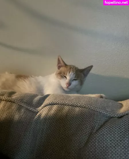 Theultimatedeciever OnlyFans Thumbnail #JgZThzbqVb