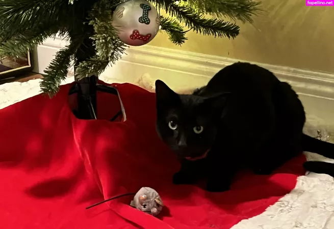 Theultimatedeciever OnlyFans Thumbnail #rCGjELKzVa