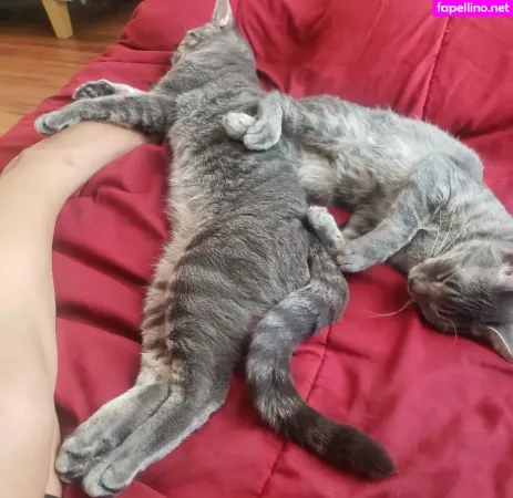 Thickprsoles OnlyFans Thumbnail #G55bi9Plkp