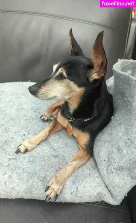 Thisgoober OnlyFans Thumbnail #iaiIpVJxqj