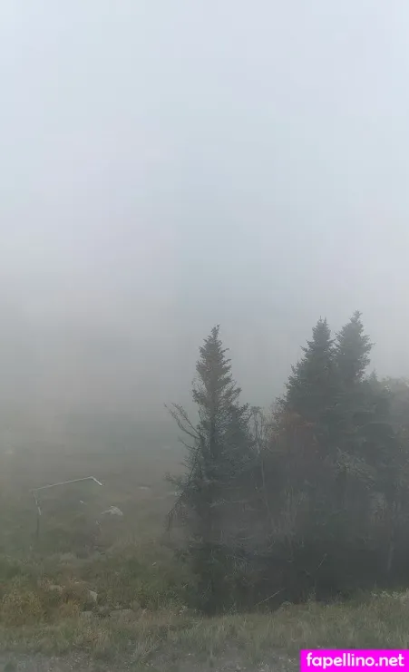 Tiabeanie OnlyFans Thumbnail #8dw9k3qSn5