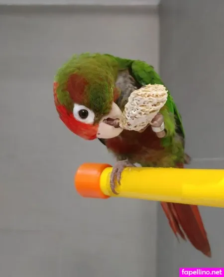 Tiabeanie OnlyFans Thumbnail #RFXWCEASX5