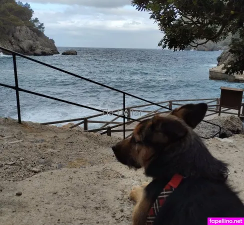 Tiadollar OnlyFans Thumbnail #5SFa9JSs1i