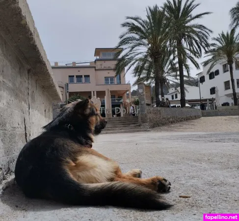 Tiadollar OnlyFans Thumbnail #b6S7JgXa1u