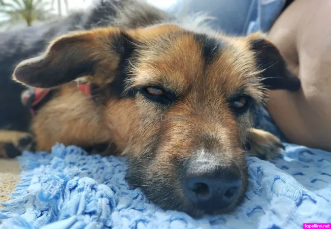 Tiadollar OnlyFans Thumbnail #fn1En3CEWO