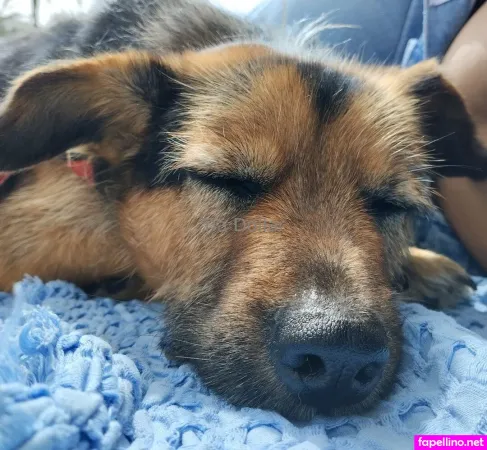 Tiadollar OnlyFans Thumbnail #nfFXJ79eZd