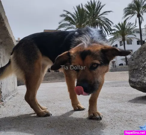 Tiadollar OnlyFans Thumbnail #pfg1fd8pIK