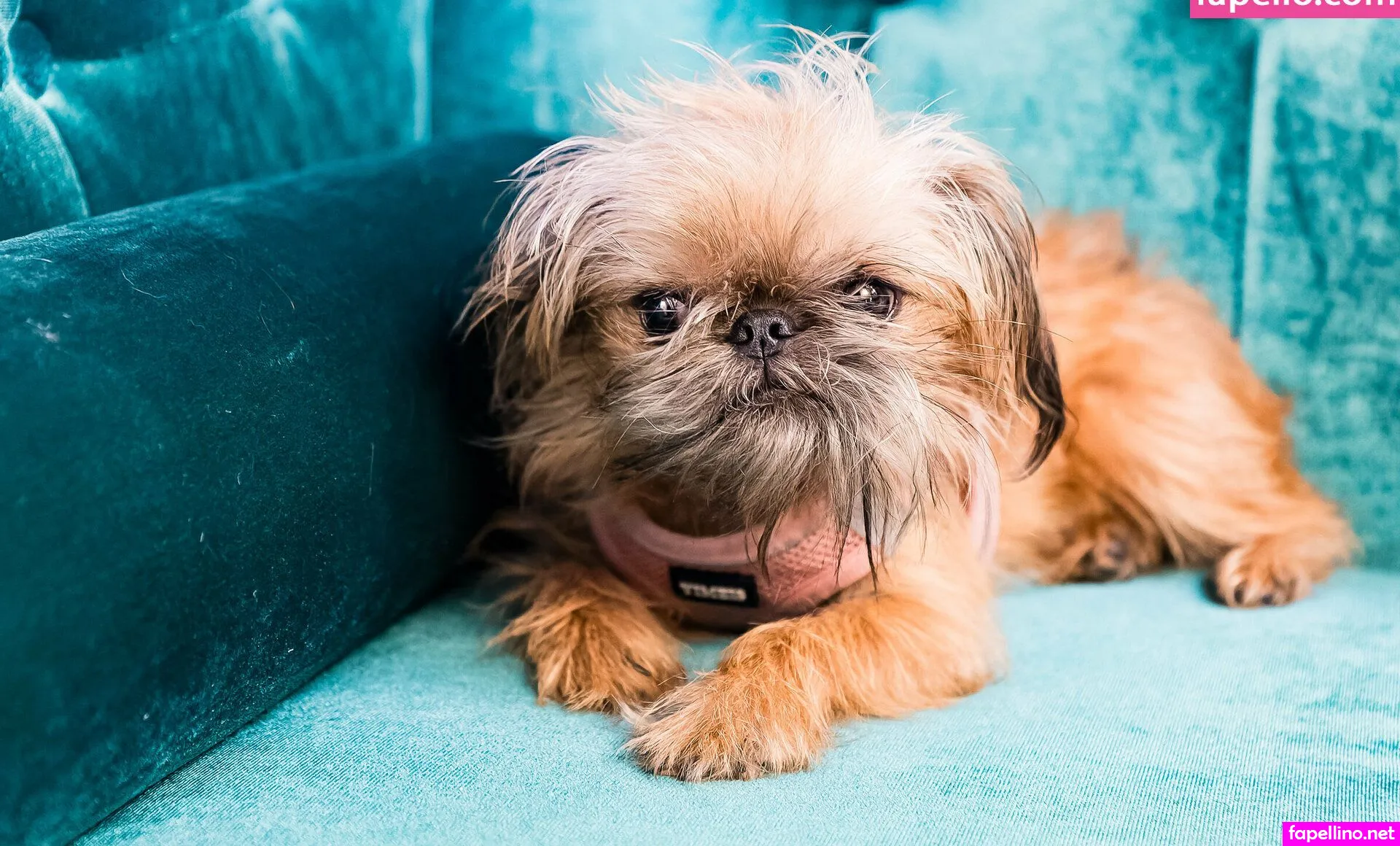 tiffanythemetaphysicist Nude Leaked OnlyFans Photo #Up7yD01tM6