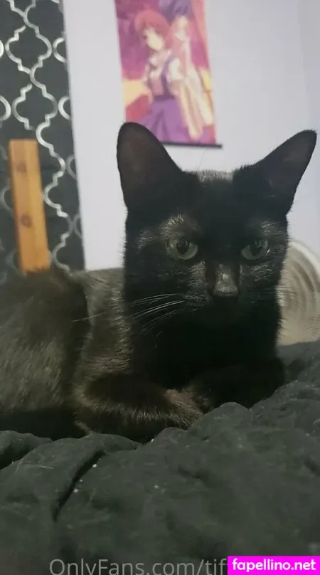 Tiffcakes21 OnlyFans Thumbnail #hbBfhG1Vjn