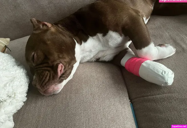 Tigeetrans OnlyFans Thumbnail #6wORJZYMg1