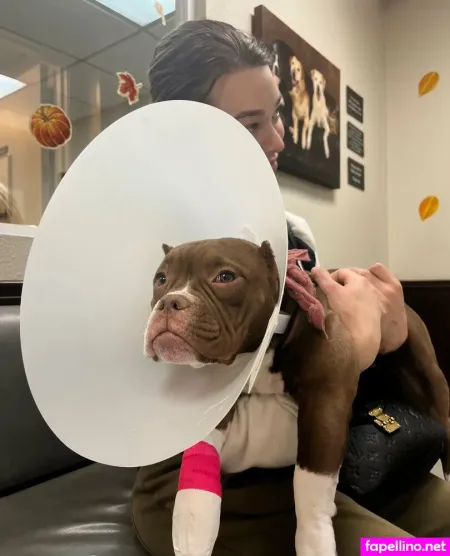 Tigeetrans OnlyFans Thumbnail #9GtpA8aI1U