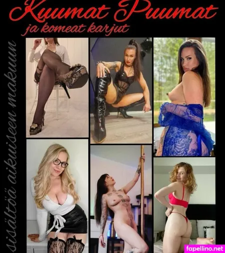 Tigerduck OnlyFans Thumbnail #kizMMljJin