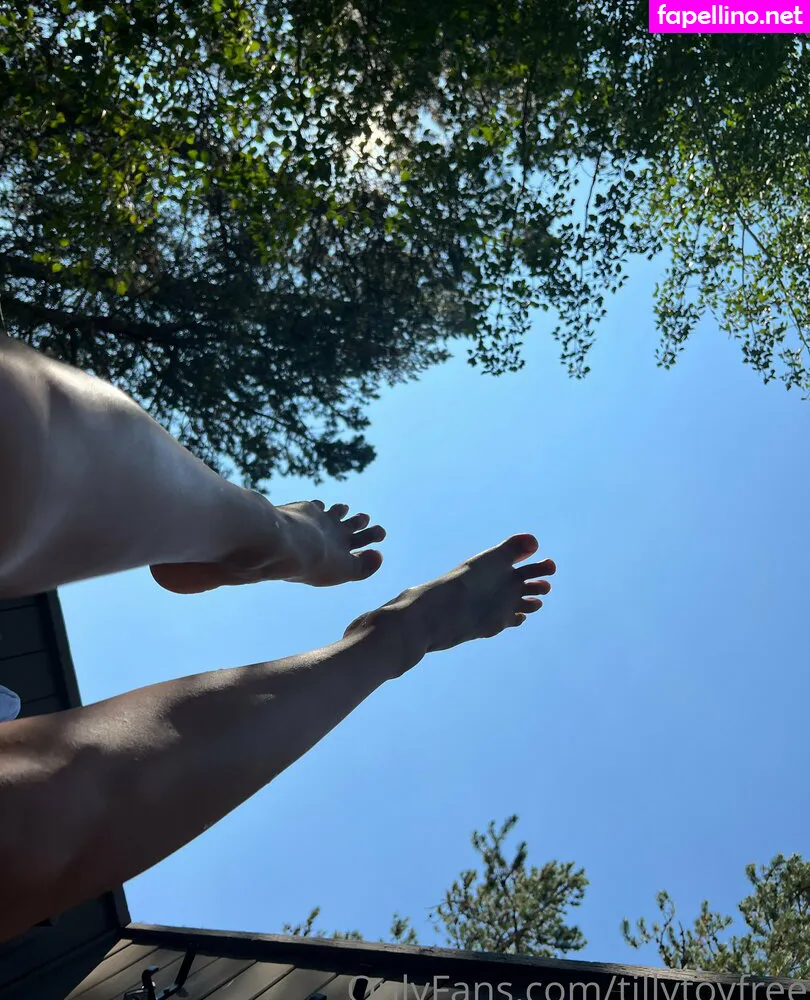 tilly.toy.official, tillytoyfree Nude Leaked OnlyFans Photo #S2o6d6EYVf