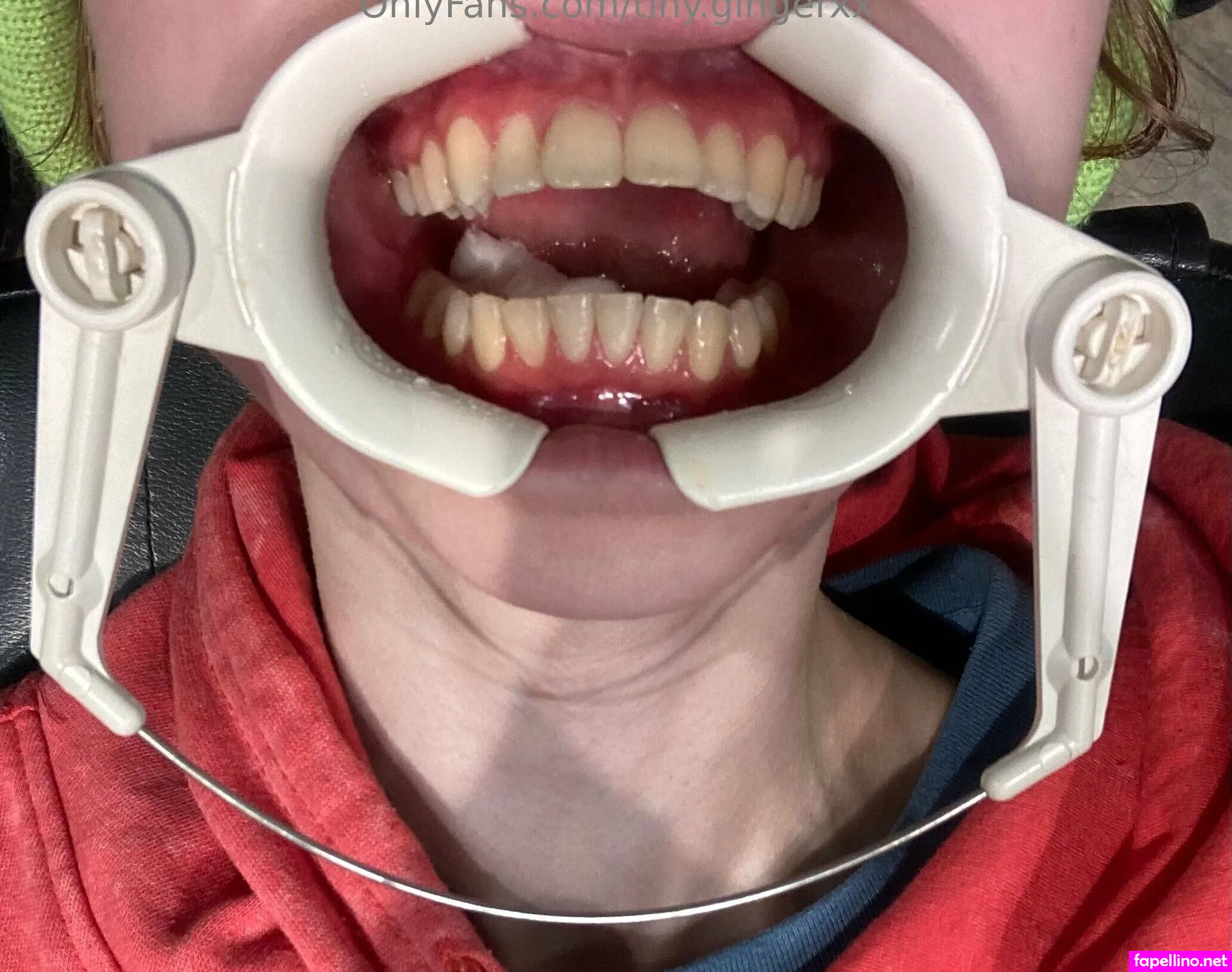 tiny.gingerxx, tiny_ging Nude Leaked OnlyFans Photo #hjjal8xcUu