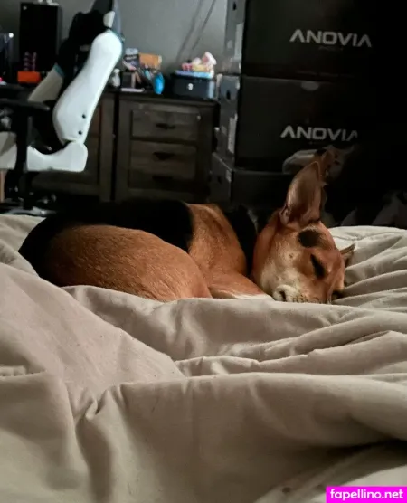 Tinybeautyqueen OnlyFans Thumbnail #gVT7CGZW2E